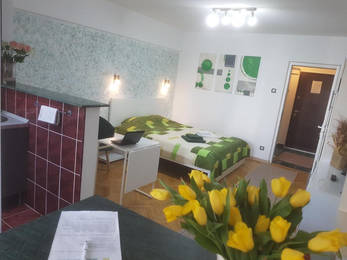 Calea Victoriei Apartament